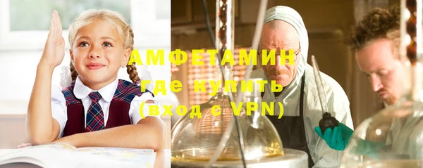дурь Алексин