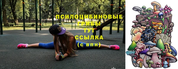 дурь Алексин