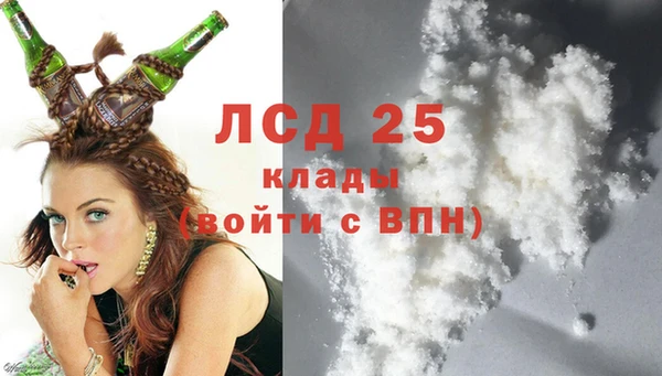 прущие грибы Лабытнанги