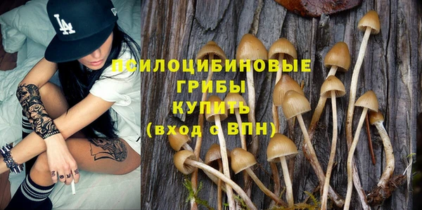 дурь Алексин