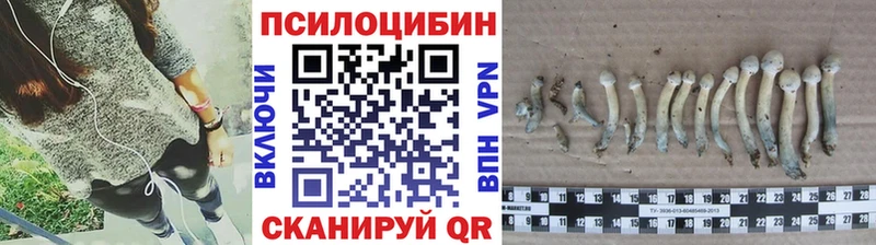 даркнет как зайти  Шелехов  Псилоцибиновые грибы Psilocybe  что такое  